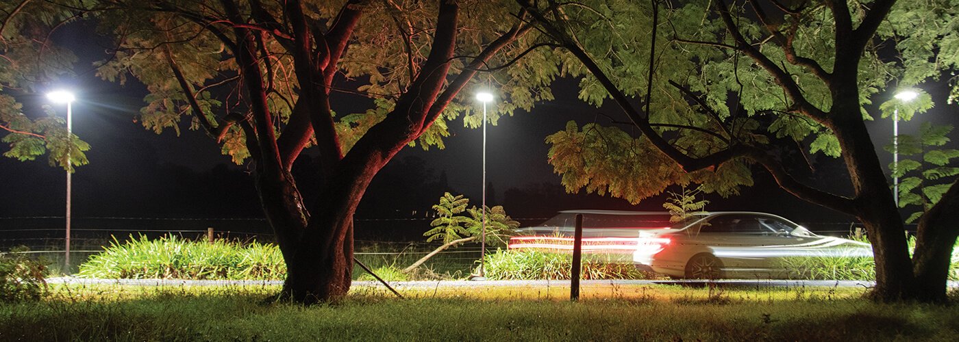 motion sensing solar lights illuminating driveway for car driving down road