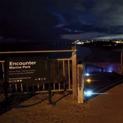 Different colour solar lights showing the boardwalk pathway at night