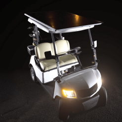 Down shot of two person golf buggy