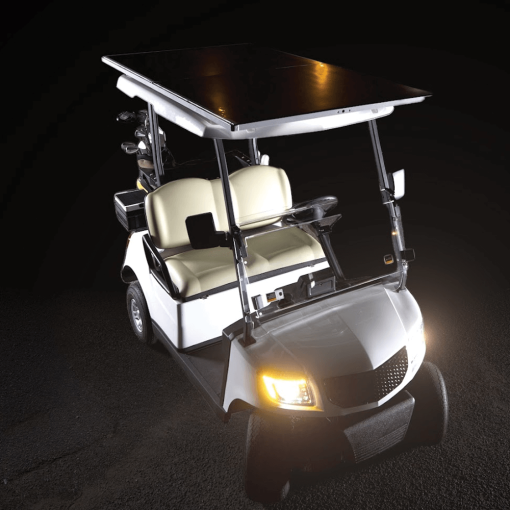 Down shot of two person golf buggy