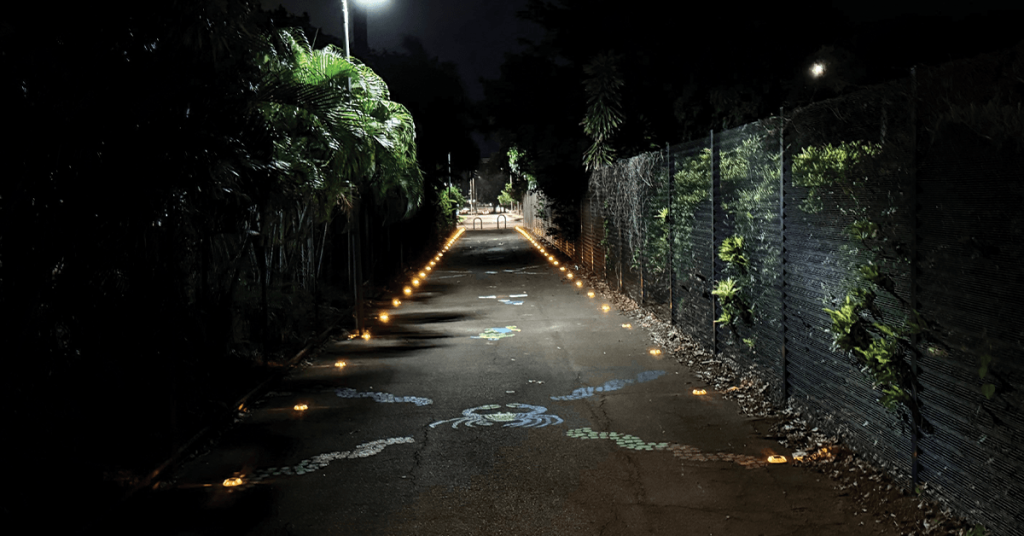 Pathway lighting project in Darwin at night